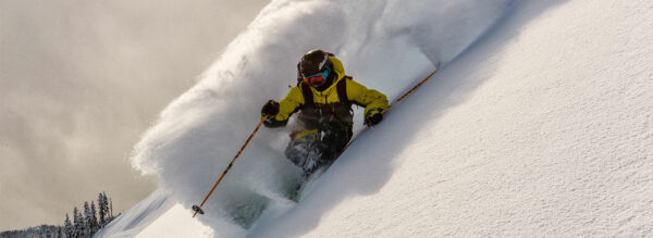 Who Shreds?