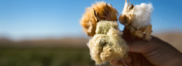 Rethinking Sustainability