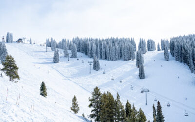 Vail Resorts Chief Marketing Officer to Exit