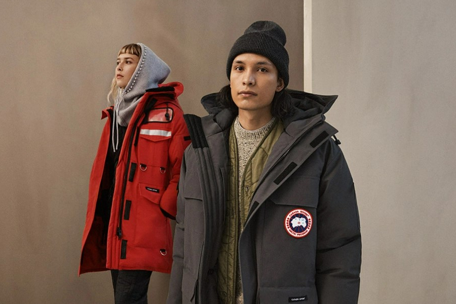 Canada Goose resized