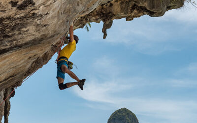 Empower Your Brand’s Growth with vvast’s New Entry Point Packages
