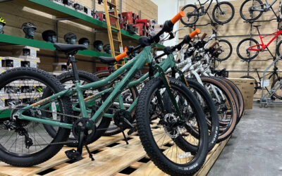 Bike Retailers Ride Inventory Glut As Demand Softens
