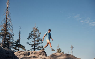 Newell Brands, Fenix Outdoor, and Shimano Post Sales Declines