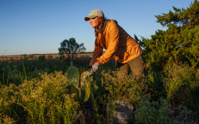 Dovetail Workwear for Women Makes Inroads in Outdoor Specialty