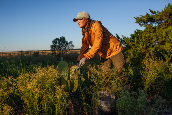 Dovetail Workwear for Women Makes Inroads in Outdoor Specialty