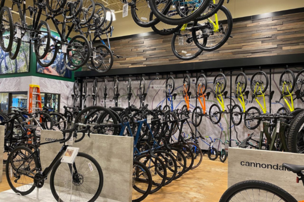 Is Bike Retail on the Road to Recovery?