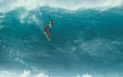 Instinct and Shaun Tomson Partner with Sector 9
