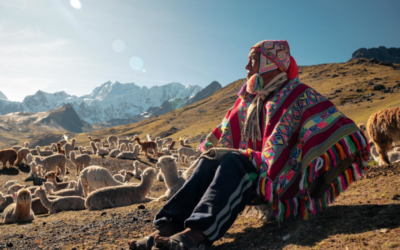PAKA Expands Impact in Peru, Announces New Nonprofit in 2024 Impact Report