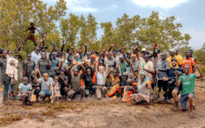 Seatrees Unveils Premium Class of Restoration Projects