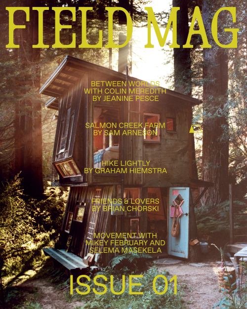Field Mag Salmon Creek