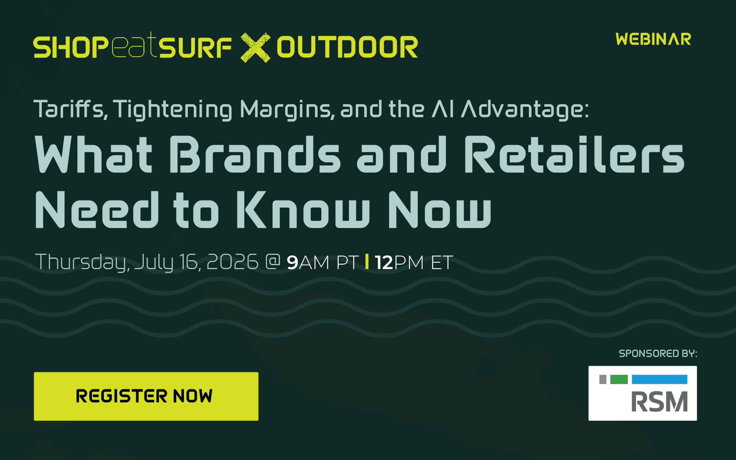 RSM Webinar