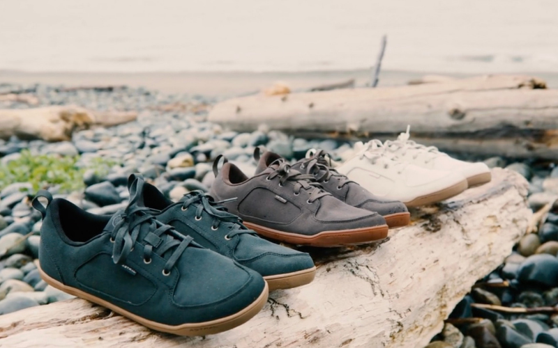 Loyak AW 2.0 - lineup