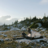 MEC Whistler Alpine camping Image1200x800